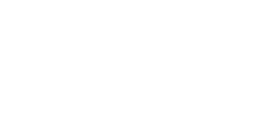 Vad vi gör